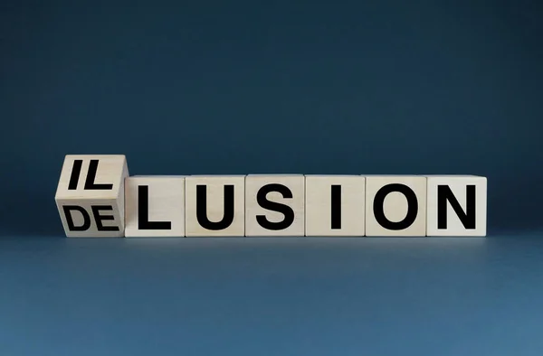 Illusion Delusion Cubes Form Words Illusion Delusion Mind Perception Concept — Zdjęcie stockowe