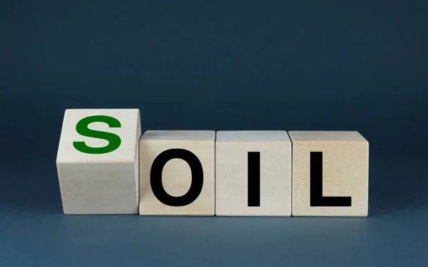 Oil Soil Cubes Form Words Oil Soil Ecology Concept Crude — Stok Foto