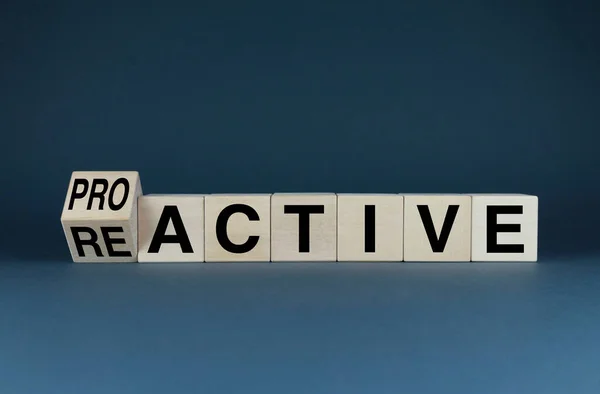 Proactive Reactive Dice Form Words Proactive Reactive Business Concept — Zdjęcie stockowe