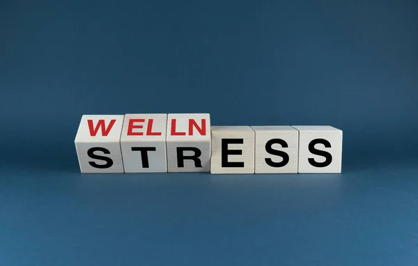 Wellness Stress Cubes Form Words Wellness Stress Wellness Stress Concept — 스톡 사진