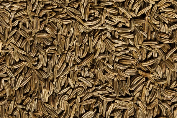 Cumin seeds texture — Stock Photo, Image