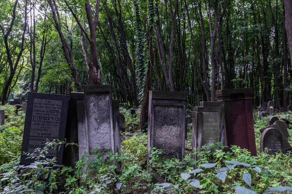Varsóvia Polônia Setembro 2018 Túmulos Mausoléus Cemitério Judaico Okopowa Cmentarz — Fotografia de Stock