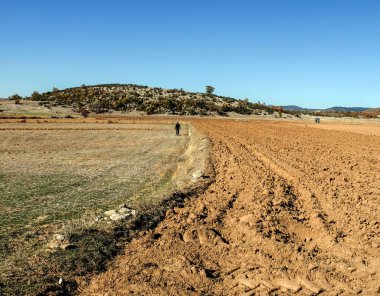 Çiftçi yeni sürülmüş tarlada yürüyor. Yeni dünyada tarım ve tarım arazisi. Dünya açlığı ve ekili tarım ürünleri. Seçici odaklanma. Sadece bir ağaç..