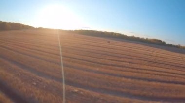 FPV sonbaharda buğday tarlasında uçar. Samanlıklar, yüksek hız