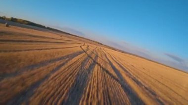 FPV sonbaharda buğday tarlasında uçar. Samanlıklar, yüksek hız