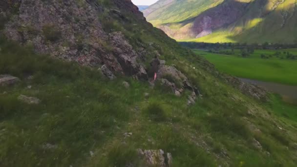 A man runs up the hill wearing a green anorak. Altai Chelyshman Valley — 图库视频影像