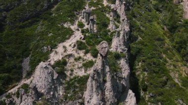 Doğa olgusu ve doğa mucize taş mantar Altay dağlarında Chulyshman Nehri yakınında kayalar. Sibirya, Rusya Federasyonu