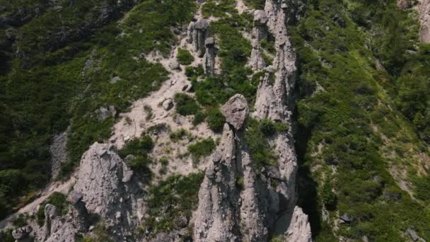 Fenômeno da natureza e milagre da natureza Pedra Cogumelos rochas nas montanhas Altai perto do rio Chulyshman. Sibéria, Rússia — Vídeo de Stock