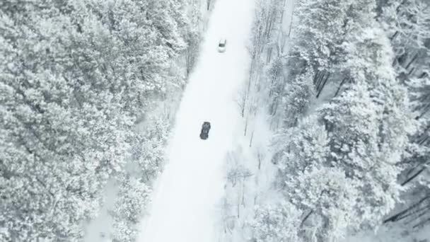 MOSCOW, RUSSIA - 13 DECEMBER 2020: Black and white car are driving in a snowy forest in winter. View from the drone. View from above — ストック動画