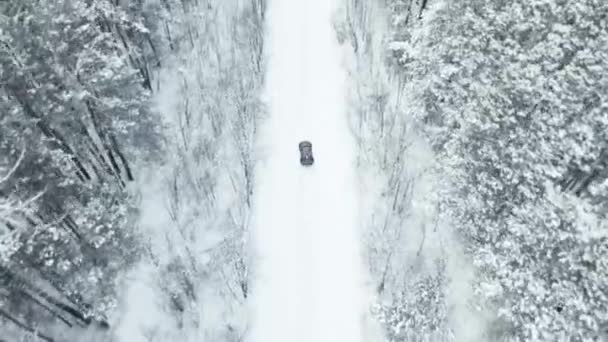 MOSCOW, RUSSIA 13 DECEMBER 2020: Mobil sport mewah hitam hanyut di hutan bersalju di musim dingin. Tampilan drone — Stok Video