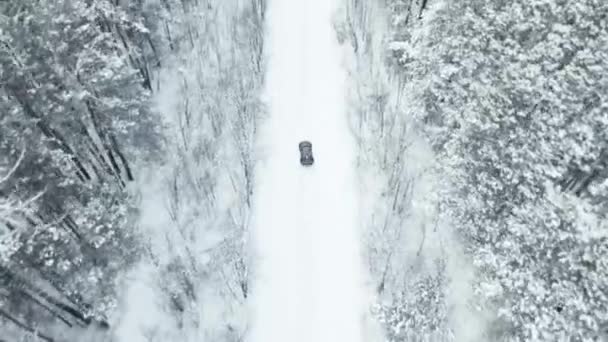 MOSCOW, RUSSIA - 13 DECEMBER 2020: Black luxury sports car is drifting in a snowy forest in winter. Drone view — Vídeo de Stock