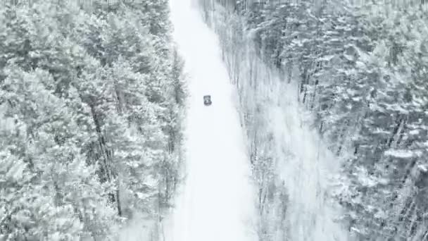 MOSCOW, RUSSIA - 13 DECEMBER 2020: Black sports car rides in a snowy forest in winter. Turns around — Αρχείο Βίντεο