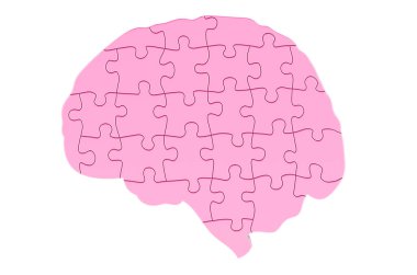 Bulmacalardan Kadın Beyni, beyaz arkaplanda 3 boyutlu görüntüleme