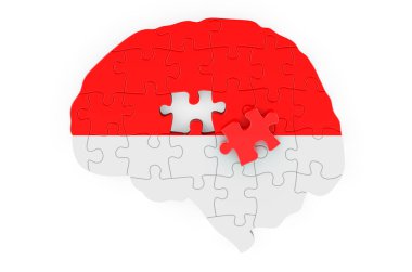 Indonesian, Monacan flag painted on the brain from puzzles. Scientific research and education in Indonesia or Principality of Monaco concept, 3D rendering isolated on white background