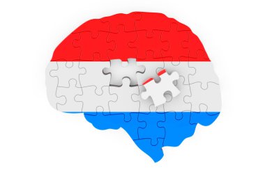 Luxembourgish flag painted on the brain from puzzles. Scientific research and education in Luxembourg concept, 3D rendering isolated on white background