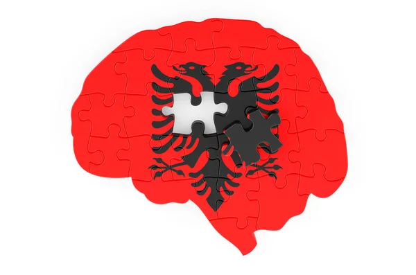 Albanian Flag Painted Brain Puzzles Scientific Research Education Albania Concept — Foto Stock