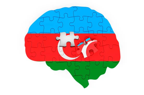 Azerbaijani Flag Painted Brain Puzzles Scientific Research Education Azerbaijan Concept — Stok fotoğraf