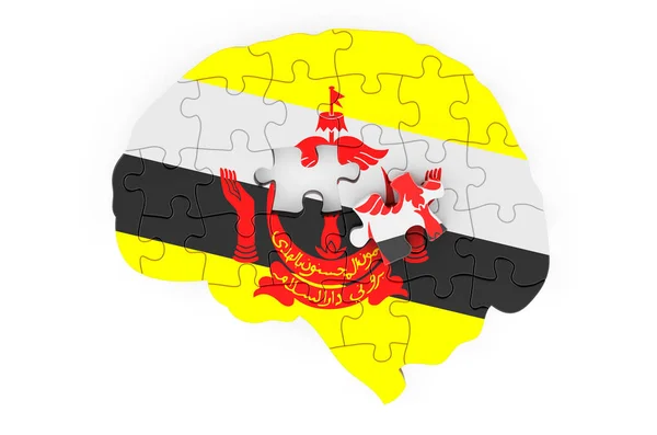 Bruneian Flag Painted Brain Puzzles Scientific Research Education Brunei Concept — Stock Photo, Image