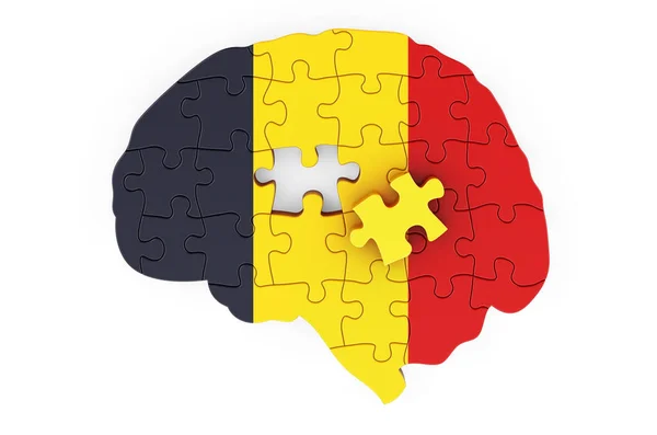 Bandera Chad Pintada Cerebro Rompecabezas Investigación Científica Educación Concepto Chad — Foto de Stock