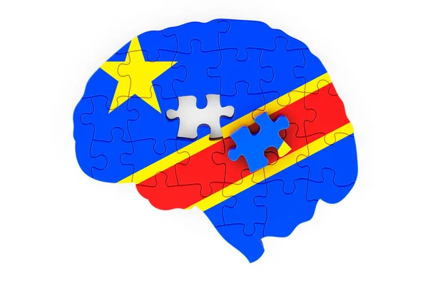 Congolese Democratic Republic Flag Painted Brain Puzzles Scientific Research Education — Foto de Stock