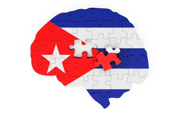 Cuban Flag Painted Brain Puzzles Scientific Research Education Cuba Concept — ストック写真