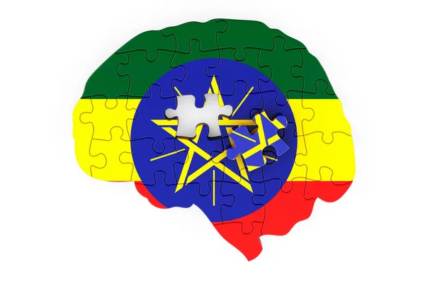 퍼즐에서 에티오피아 국기가 그려졌습니다 과학적 연구와 에티오피아 개념의 배경에 렌더링 — 스톡 사진