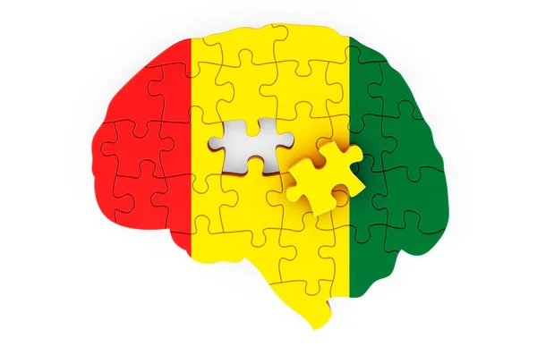 Guinean Flag Painted Brain Puzzles Scientific Research Education Guinea Concept — Stock Photo, Image