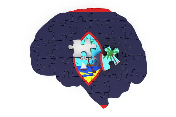 Guamanian Flag Painted Brain Puzzles Scientific Research Education Guam Concept — 스톡 사진
