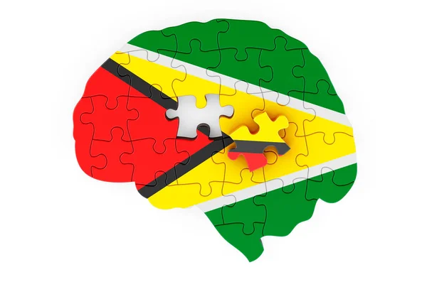 Guyanese Flag Painted Brain Puzzles Scientific Research Education Gayana Concept — 스톡 사진