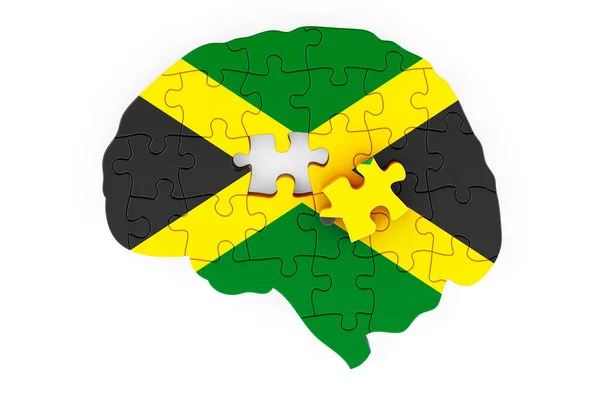 Jamaican Flag Painted Brain Puzzles Scientific Research Education Jamaica Concept — Stock Fotó