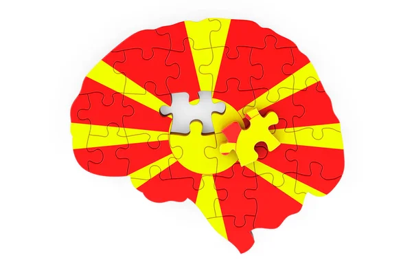 Macedonian Flagga Målad Hjärnan Från Pussel Vetenskaplig Forskning Och Utbildning — Stockfoto