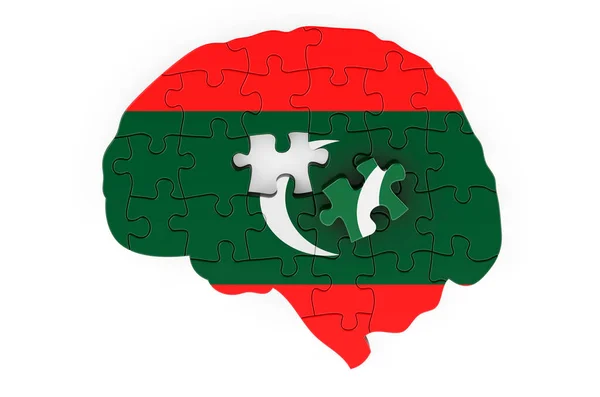 Maldivian Flag Painted Brain Puzzles Scientific Research Education Maldives Concept — 스톡 사진