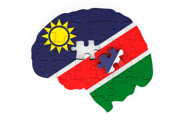 Namibian Flag Painted Brain Puzzles Scientific Research Education Namibia Concept — Fotografia de Stock