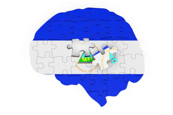 Bandiera Nicaraguense Dipinta Sul Cervello Puzzle Ricerca Scientifica Educazione Nicaragua — Foto Stock