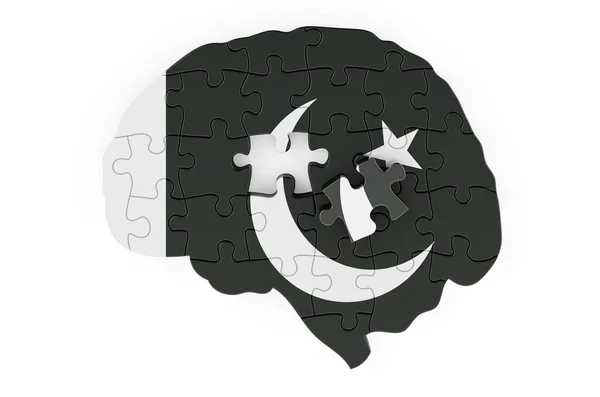Pakistani Flag Painted Brain Puzzles Scientific Research Education Pakistan Concept — Stock fotografie