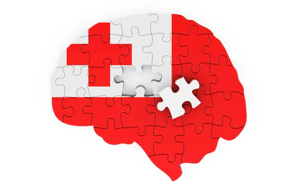 Tongan Flag Painted Brain Puzzles Scientific Research Education Tonga Concept — стокове фото