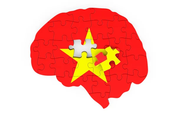 Vietnamese Flag Painted Brain Puzzles Scientific Research Education Vietnam Concept — Stok fotoğraf