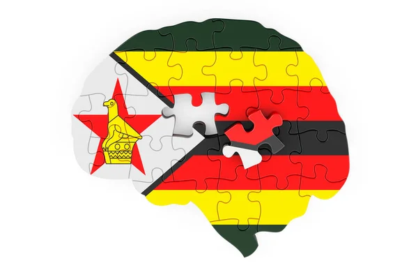 Zimbabwean Flag Painted Brain Puzzles Scientific Research Education Zimbabwe Concept — Stock Photo, Image