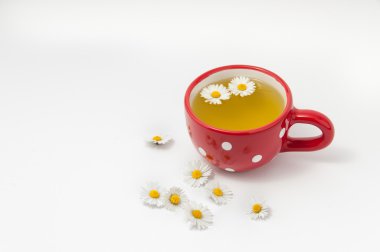 Papatya çayı fincan