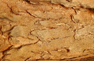 doku arka plan deseni eski kahverengi