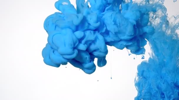 Tinta Acuarela Azul Agua Sobre Fondo Blanco Protector Pantalla Relajante — Vídeo de stock