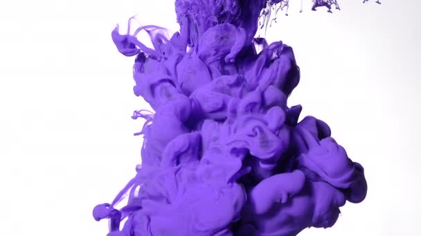 白を基調とした水中の紫色の水彩水墨画 素晴らしい抽象的背景 水に着色されたアクリル絵具の遅い動き スクリーンセーバー リラックスした瞑想的な背景 — ストック動画