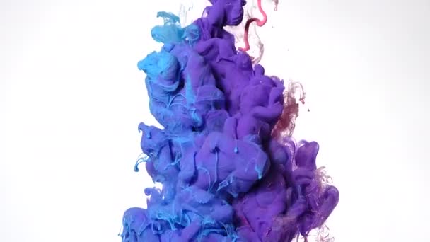 Roze Paarse Blauwe Aquarelinkt Gemengd Water Een Witte Achtergrond Langzame — Stockvideo