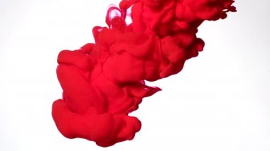 Beyaz arka planda kırmızı suluboya mürekkep. Suyun içindeki renkli akrilik boyaların yavaş hareketi. Soyut arkaplan. Ekran koruyucu, rahatlatıcı meditasyon arkaplanı.