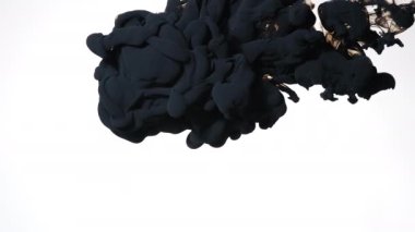 Beyaz arka planda siyah suluboya mürekkep. Soyut arkaplan. Ekran koruyucu, rahatlatıcı meditasyon arka planı. Suyun içindeki renkli akrilik boyaların yavaş hareketi.