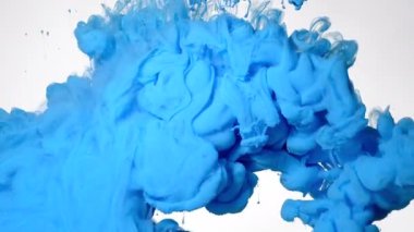 Beyaz arka planda mavi suluboya mürekkep bulutu. Ekran koruyucu, rahatlatıcı meditasyon arka planı. Güzel soyut bir arka plan. Suyun içindeki renkli akrilik boyaların yavaş hareketi.