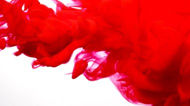 Güzel soyut bir arka plan. Suya kırmızı mürekkep damlaları. Beyaz arka planda kırmızı suluboya mürekkep. Suda renkli akrilik boya. Beyaz arka planda kan kırmızısı mürekkep bulutu.