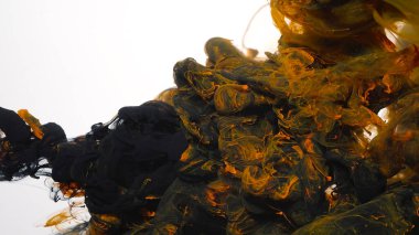 Beyaz arka planda siyah ve turuncu mürekkep bulutu. Soyut arkaplan. Suya siyah ve turuncu mürekkep damlaları. Suda renkli akrilik boya. Beyaz zemin üzerinde siyah ve turuncu suluboya mürekkep..