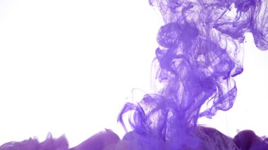 Beyaz arka planda renkli mürekkep bulutu. Beyaz arka planda suda mor suluboya mürekkep. Büyüleyici soyut bir arka plan. Mor boyalar suya karışır..