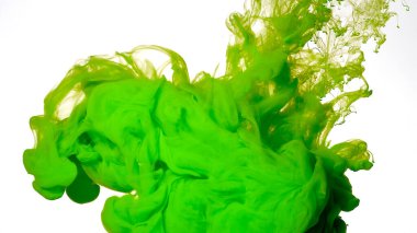 Beyaz zemin üzerinde yeşil suluboya mürekkep. Beyaz arka planda renkli mürekkep bulutu. Güzel soyut bir arka plan. Yeşil boyalar suya karıştırılır..